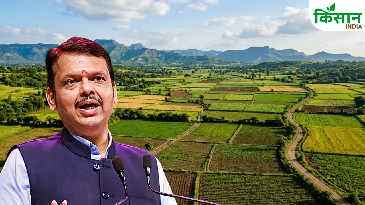 महाराष्ट्र में जमीन बंटवारे पर मिली राहत, अब किसानों को नहीं देना होगा पंजीकरण शुल्क