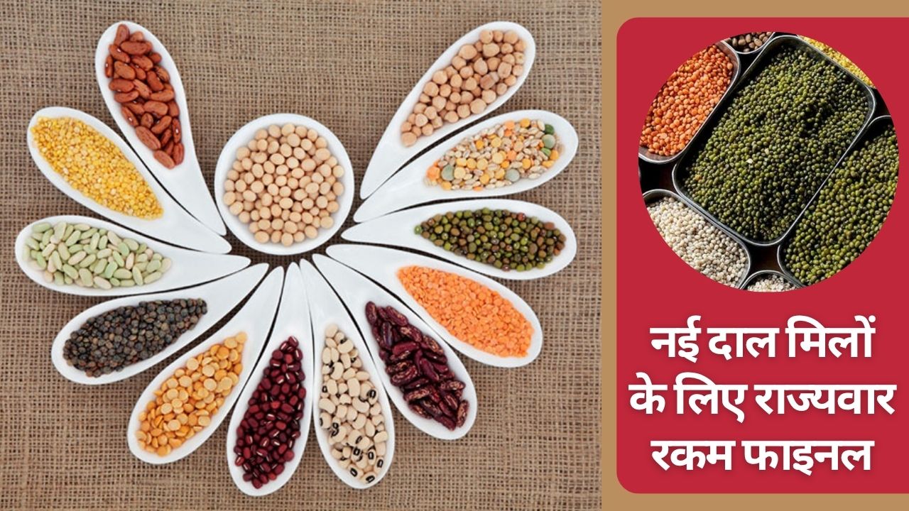 153 दाल मिलों पर 900 करोड़ खर्च करने को मंजूरी, महाराष्ट्र से गुजरात और MP तक लगेंगी नई दाल मिलें  