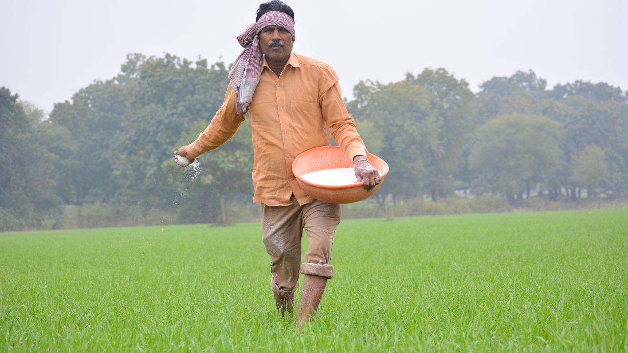 कृषि मंत्रालय का निर्देश- फसल नुकसान का सर्वे करेंगे तीन विभाग, फार्मर आईडी रोकेगी खाद की ब्लैक मार्केटिंग