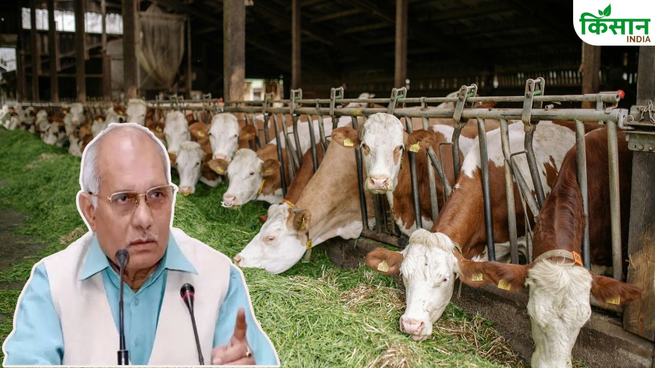 गौशाला में 7 गायों की मौत के बाद एक्शन मोड में आई सरकार, नई गाइडलाइन जारी