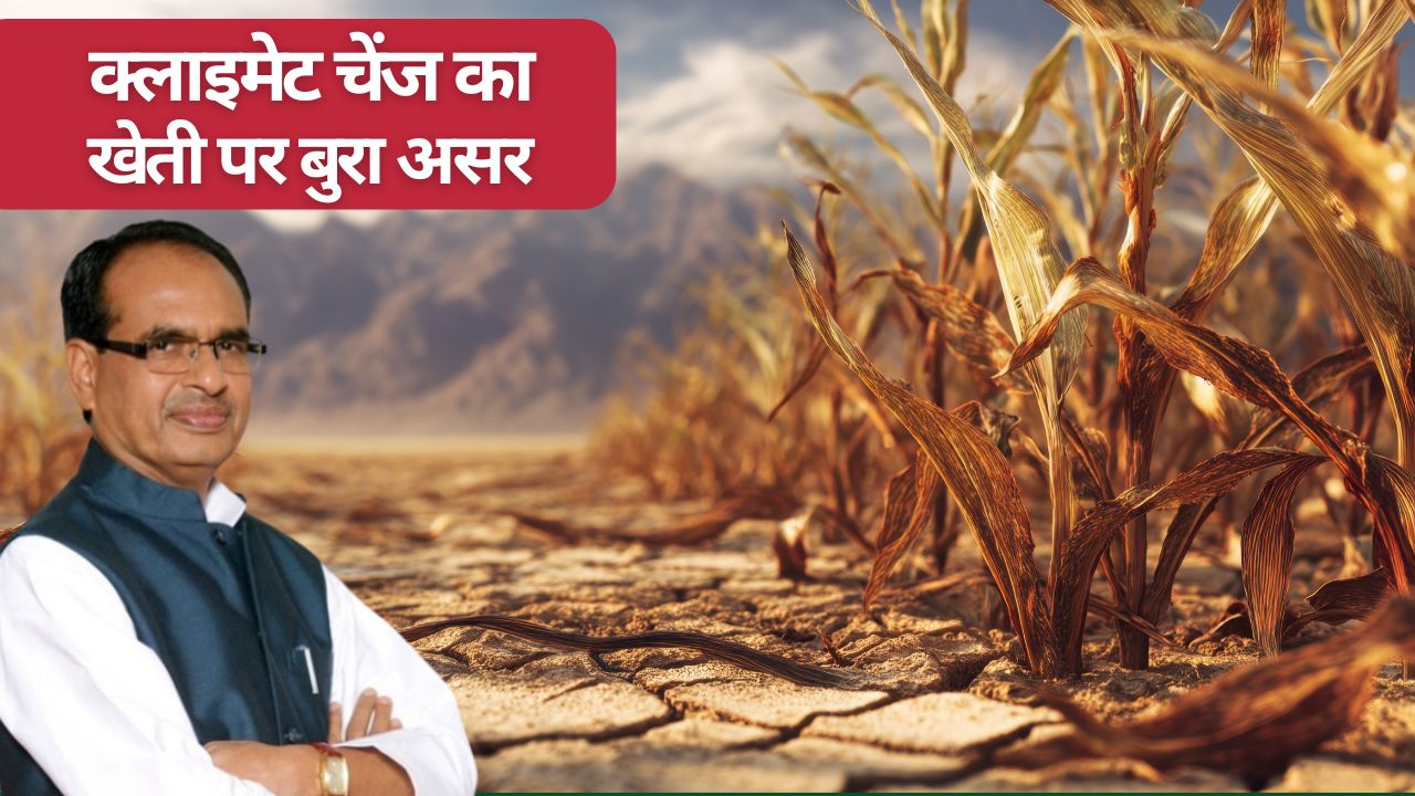 खेती के लिए घातक हो रहे जलवायु परिवर्तन के नतीजे, किसानों को बचाने के लिए नए रोडमैप पर काम तेज  