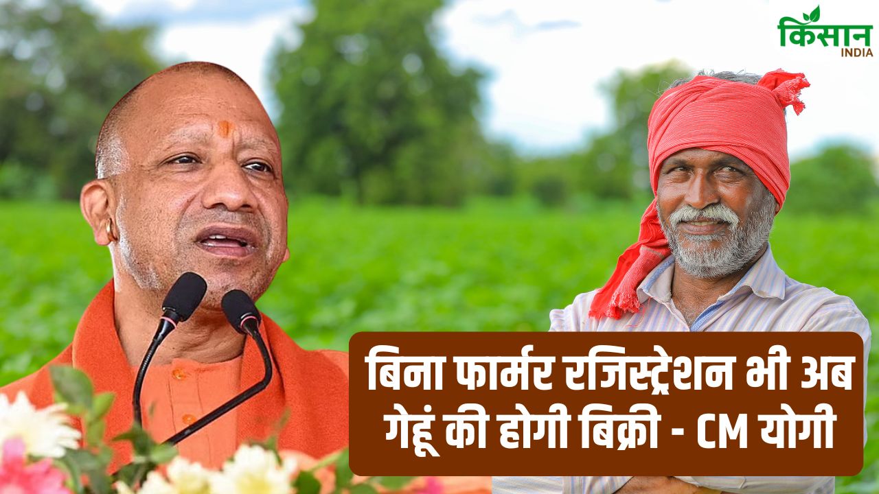 CM योगी का बड़ा फैसला, फार्मर रजिस्ट्रेशन की झंझट खत्म! बिना पंजीकरण सीधे बिकेगा गेहूं