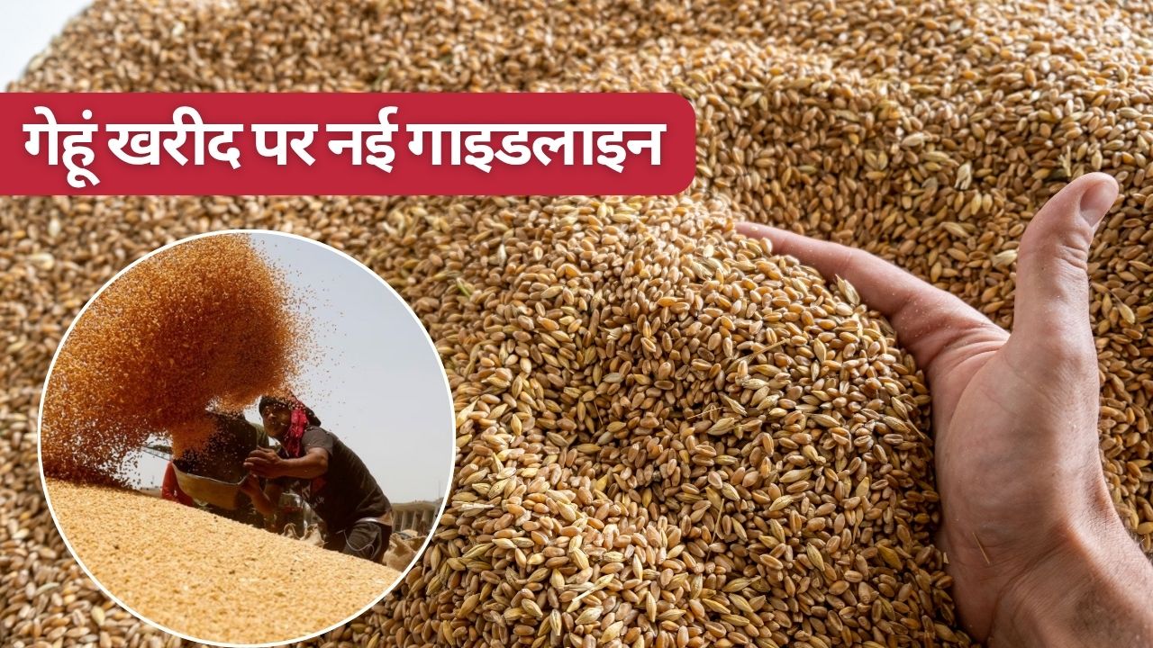 दिल्ली के गेहूं किसानों के लिए बड़ा ऐलान, 5 साल बाद हो रही खरीद के लिए मानकों में ढील दी गई  