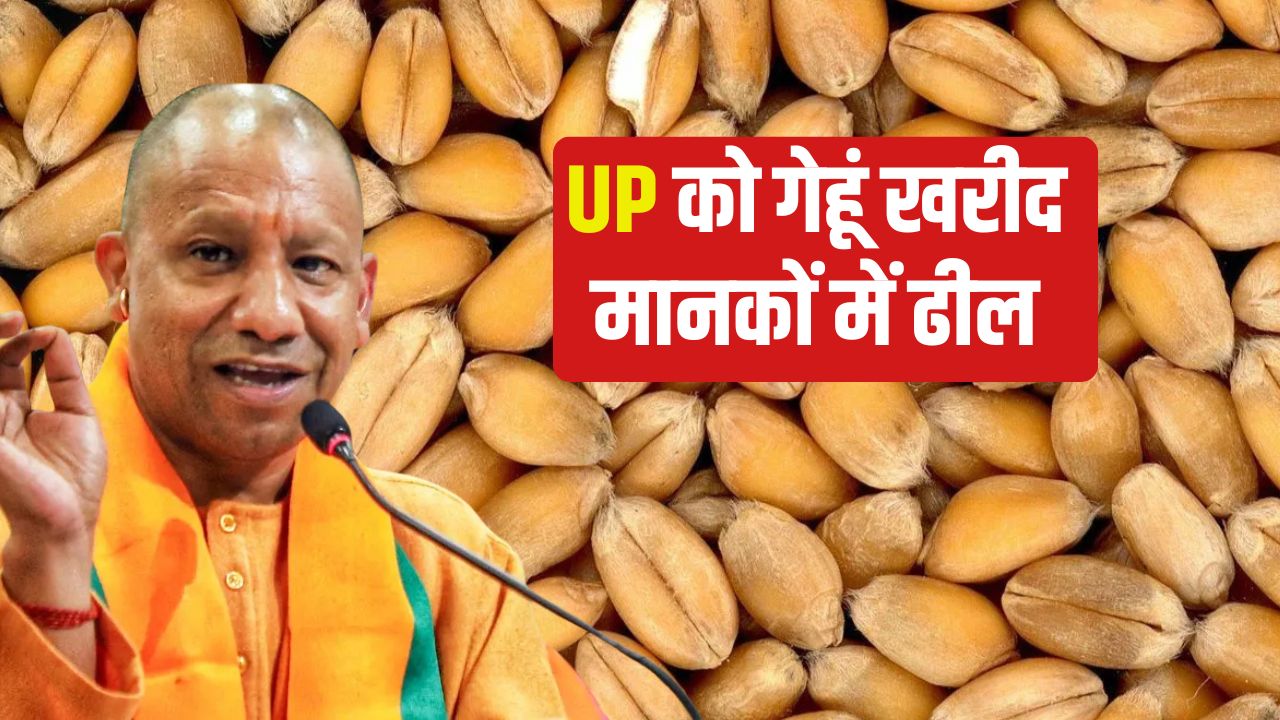 पंजाब के बाद UP में गेहूं किसानों को बड़ी राहत, अब होगी तगड़ी कमाई.. सरकार ने लिया फैसला