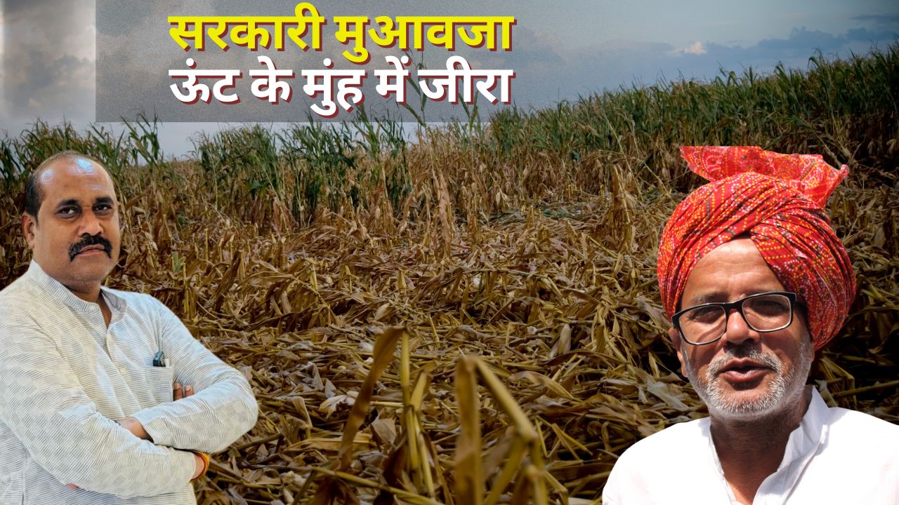 किसान नेताओं के मन की बात, कहा- सरकारी आदेश सिर्फ दिखावा.. सर्वे के लिए खेतों में नहीं आए कर्मचारी