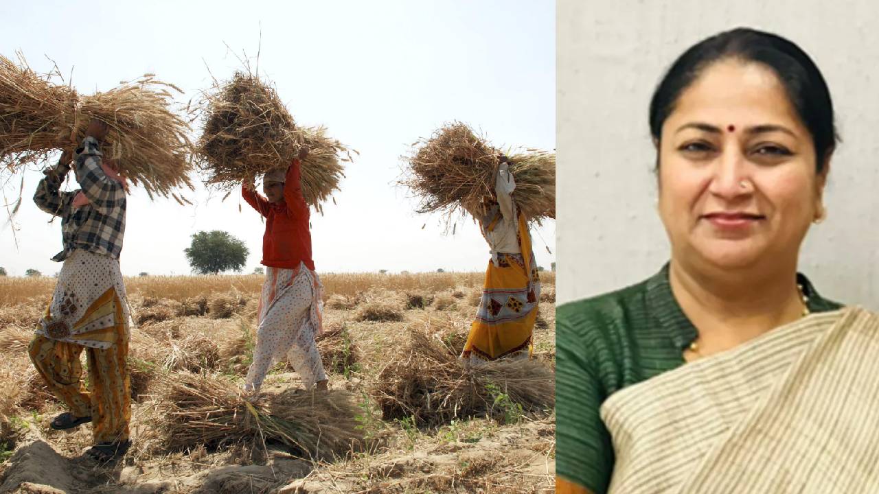 4 साल बाद दिल्ली में फिर शुरू होगी गेहूं की सरकारी खरीद, किसानों को मिलेगा MSP का लाभ