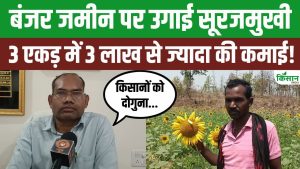 सूरजमुखी की खेती ने बदली किसान की किस्मत, बंजर जमीन से लाखों की कमाई कर बना आसपास के लिए मिसाल सूरजमुखी की खेती ने बदली किसान की किस्मत, बंजर जमीन से लाखों की कमाई कर बना आसपास के लिए मिसाल