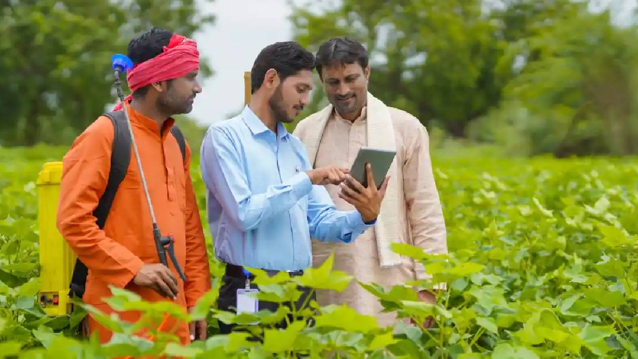 खेती में नया आइडिया है तो देर न करें, पूसा कृषि दे रहा फंडिंग और मेंटरशिप का मौका… ऐसे करें आवेदन