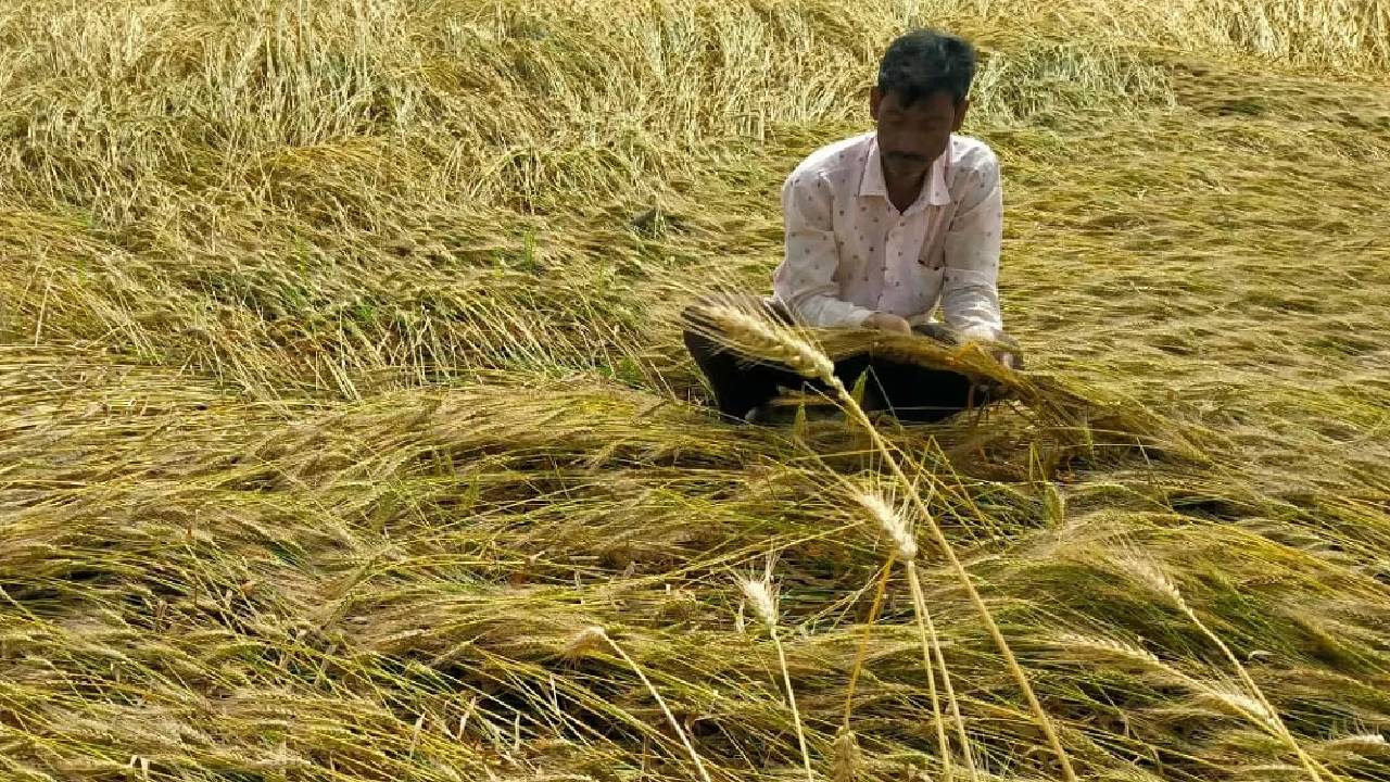 4 मई को किसानों के खातों में आएंगे 122 करोड़ रुपये, खरीफ और रबी फसल नुकसान की होगी भरपाई