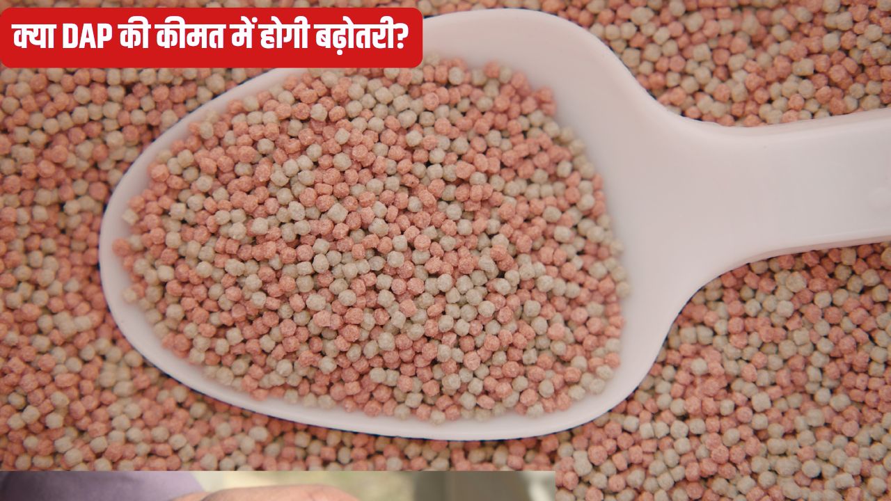 किसानों के हित में बड़ा फैसला, खरीफ सीजन में मिलेगी भरपूर खाद.. सरकार ने इन उर्वरकों पर सब्सिडी बढ़ाई