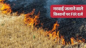 86 किसानों पर FIR और 2.20 लाख का जुर्माना, जान लें वजह कहीं आप भी अनजाने में न फंस जाएं    