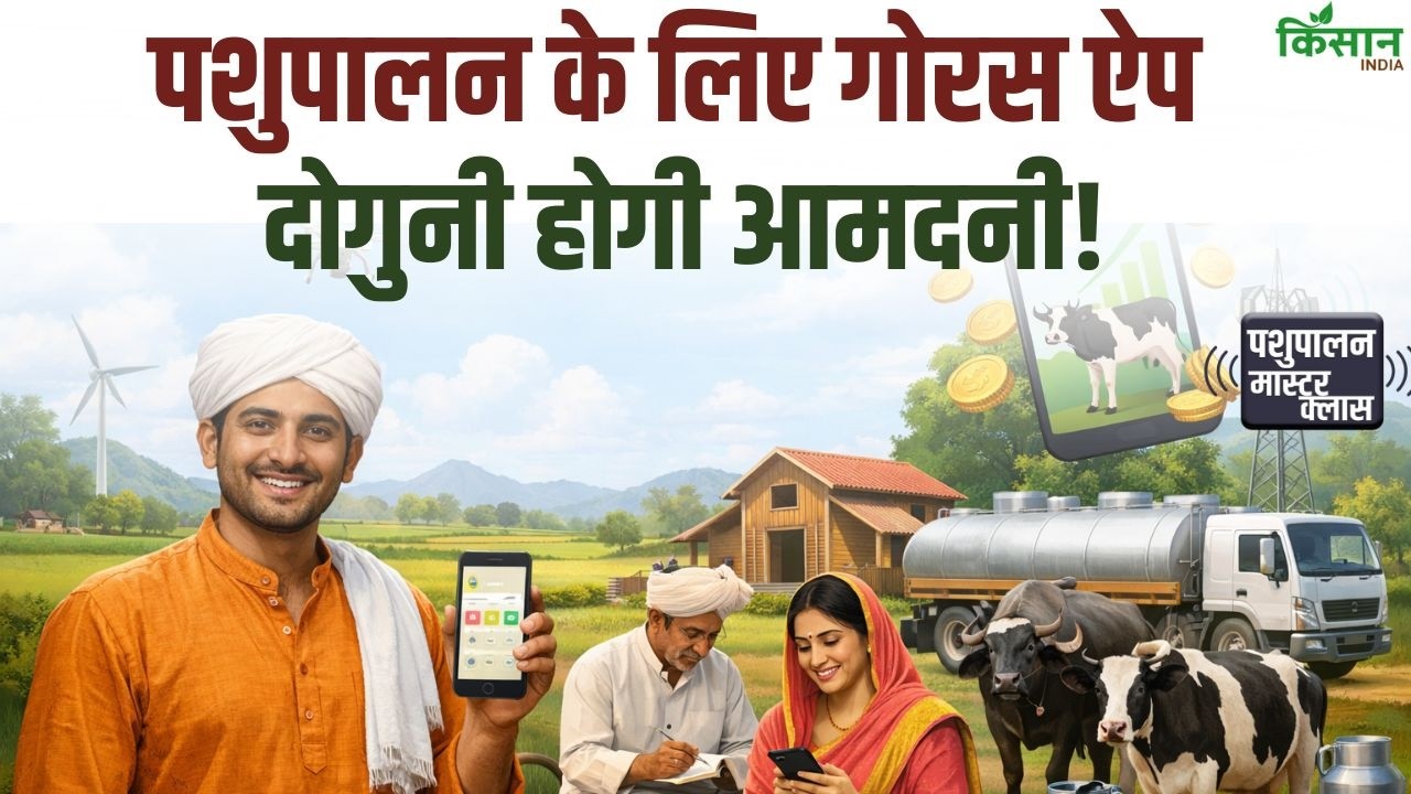 Goras Mobile App से पशुपालकों को बड़ी सुविधा, घर बैठे वैज्ञानिक सलाह से बढ़ेगा दुग्ध उत्पादन और आमदनी