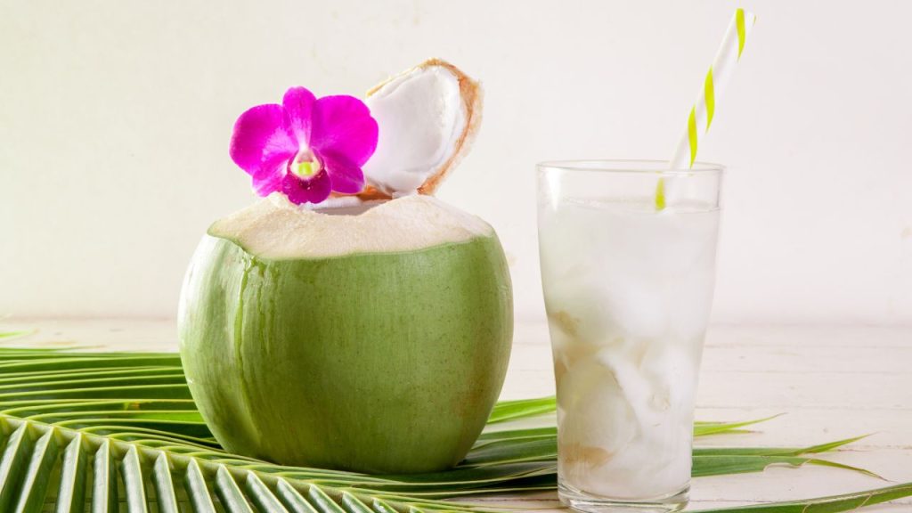अनुभवी दुकानदारों का कहना है कि छोटे नारियल में अक्सर लगभग 300ml पानी होता है, जबकि बड़े नारियल में केवल 200–250ml पानी होता है. इसलिए अगर आपका मुख्य उद्देश्य ताजा नारियल पानी पीना है, तो छोटे नारियल का चयन करना बेहतर होता है. अनुभवी दुकानदारों का कहना है कि छोटे नारियल में अक्सर लगभग 300ml पानी होता है, जबकि बड़े नारियल में केवल 200–250ml पानी होता है. इसलिए अगर आपका मुख्य उद्देश्य ताजा नारियल पानी पीना है, तो छोटे नारियल का चयन करना बेहतर होता है.