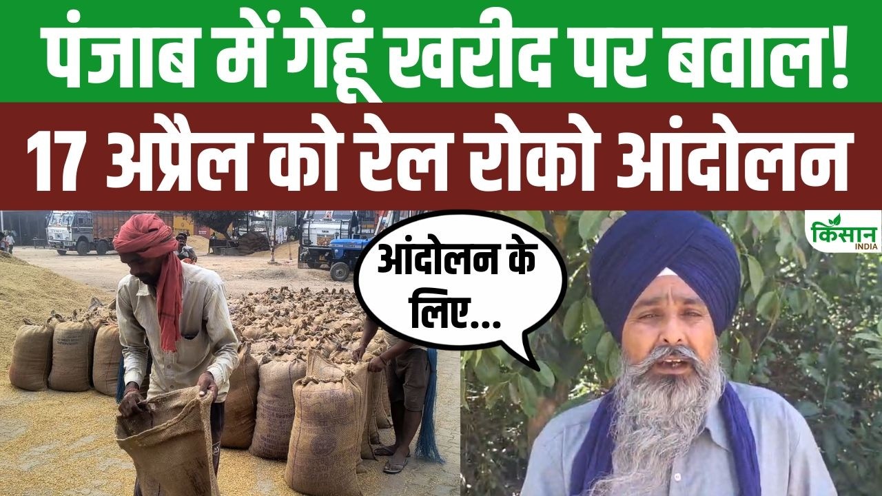 पंजाब की मंडियों में गेहूं खरीद पर बवाल, किसानों का रेल रोको ऐलान, 17 अप्रैल को थम सकती है ट्रेनें