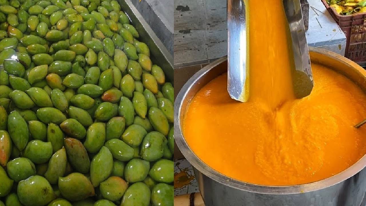 आंध्र प्रदेश के आम पल्प सेक्टर को भारी नुकसान, 3 लाख टन से ज्यादा स्टॉक गोदामों में फंसा, ये है वजह