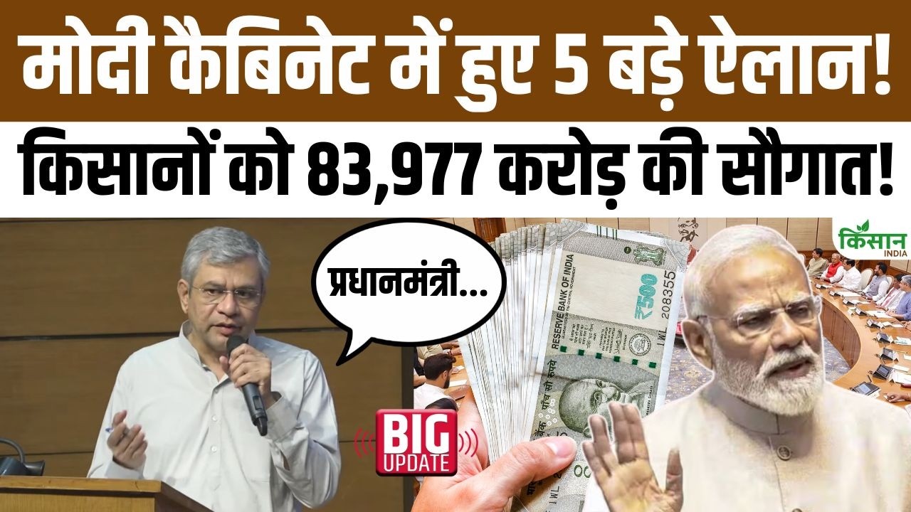 मोदी कैबिनेट के 5 बड़े फैसले, किसानों के लिए 83,977 करोड़ का पैकेज, खेती और आय बढ़ाने पर सरकार का जोर