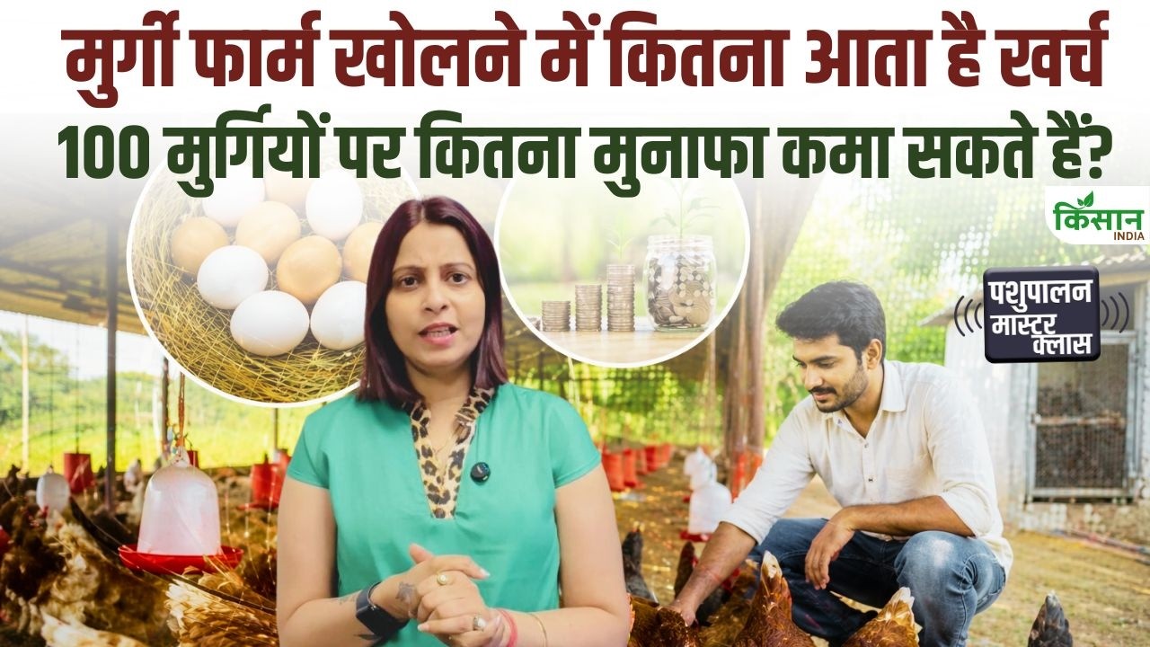 पोल्ट्री फार्मिंग शुरू करने में कितना खर्च आता है, जानिए 100 मुर्गियों से हर महीने कितना मुनाफा कमा सकते हैं