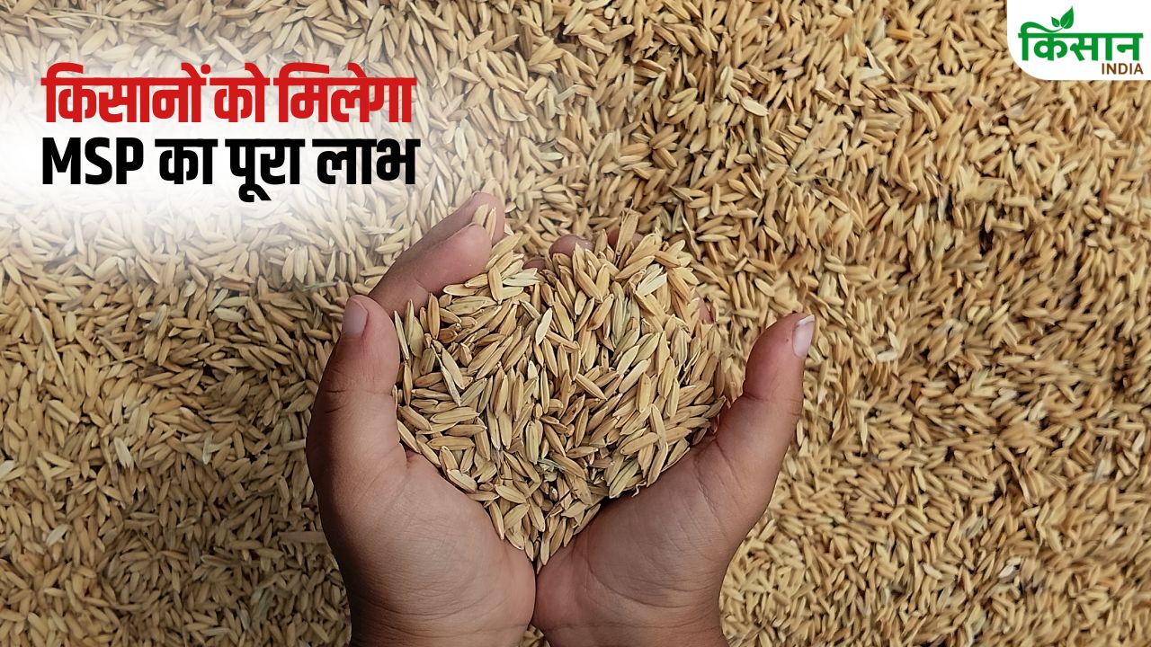 MSP पर 90 लाख टन होगी धान की खरीदी, मंत्री ने दिए सख्त निर्देश.. किसानों को मिले पूरा फायदा