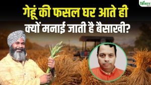 गेहूं फसल घर आते ही क्यों मनाई जाती है बैसाखी, जानिए किसानों के लिए यह दिन खुशी और उम्मीद क्यों लाता है गेहूं फसल घर आते ही क्यों मनाई जाती है बैसाखी, जानिए किसानों के लिए यह दिन खुशी और उम्मीद क्यों लाता है