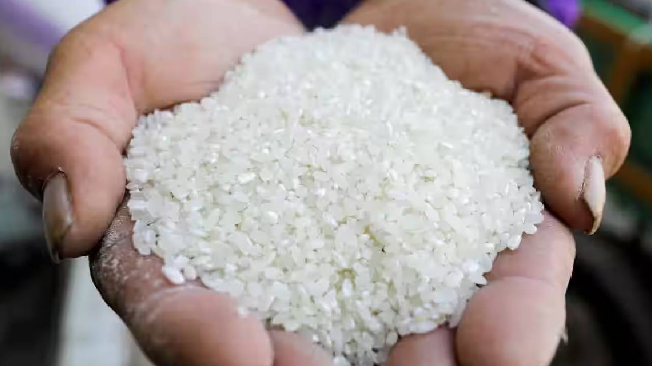 GMO विवाद के बाद चीन को फिर भाया भारतीय चावल, लेकिन बढ़ती लागत बनी बड़ी चुनौती