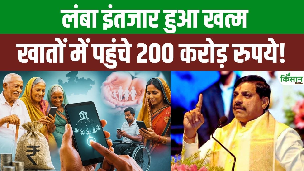 200 करोड़ से ज्यादा राशि DBT के जरिए ट्रांसफर, 3.45 लाख हितग्राहियों को सीधा लाभ