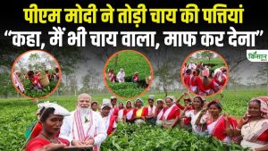 PM मोदी की असम चाय बागान में शानदार एंट्री… बोले मैं चाय वाला हूं, अंदाज ने जीता लोगों का दिल PM मोदी की असम चाय बागान में शानदार एंट्री… बोले मैं चाय वाला हूं, अंदाज ने जीता लोगों का दिल