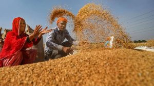 बेमौसम बारिश के बावजूद बढ़ी गेहूं खरीद, सरकार लक्ष्य के करीब… जानें किस राज्य ने मारी बाजी बेमौसम बारिश के बावजूद बढ़ी गेहूं खरीद, सरकार लक्ष्य के करीब… जानें किस राज्य ने मारी बाजी