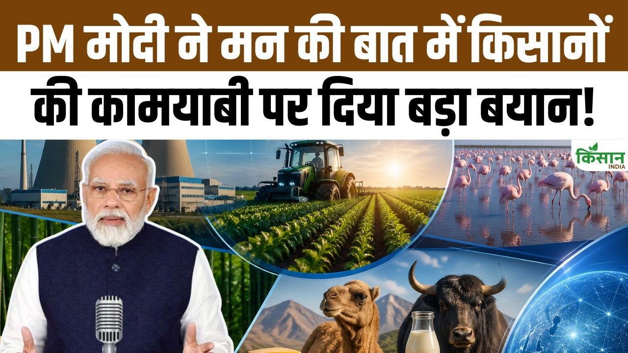 PM मोदी ने ‘मन की बात’ के 133वें एपिसोड में बांस खेती को लेकर दिया खास संदेश