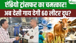 Embryo Transfer Technique: दूध की महंगाई का पक्का इलाज! एंब्रियो ट्रांसफर तकनीक से मचेगा गदर Embryo Transfer Technique: दूध की महंगाई का पक्का इलाज! एंब्रियो ट्रांसफर तकनीक से मचेगा गदर