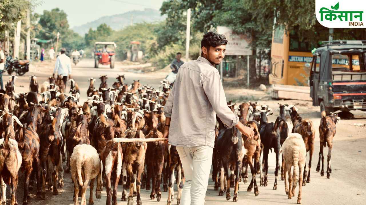 ऊंट समेत कई जानवरों की कुर्बानी पर लगा प्रतिबंध, बकरीद से पहले दिल्ली सरकार के नए नियम जारी
