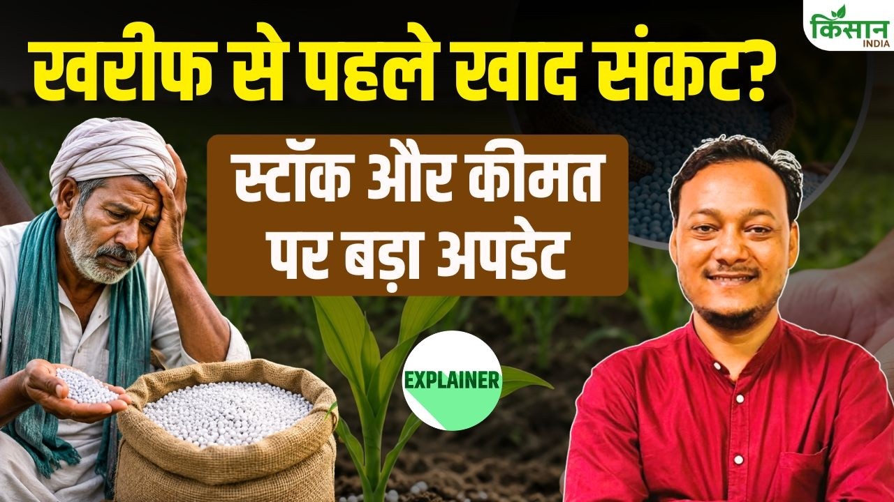 Kharif Season की बुवाई पर बड़ा खतरा? स्टॉक और कीमत पर बड़ा अपडेट, जानिए खरीफ से पहले पूरा प्लान!