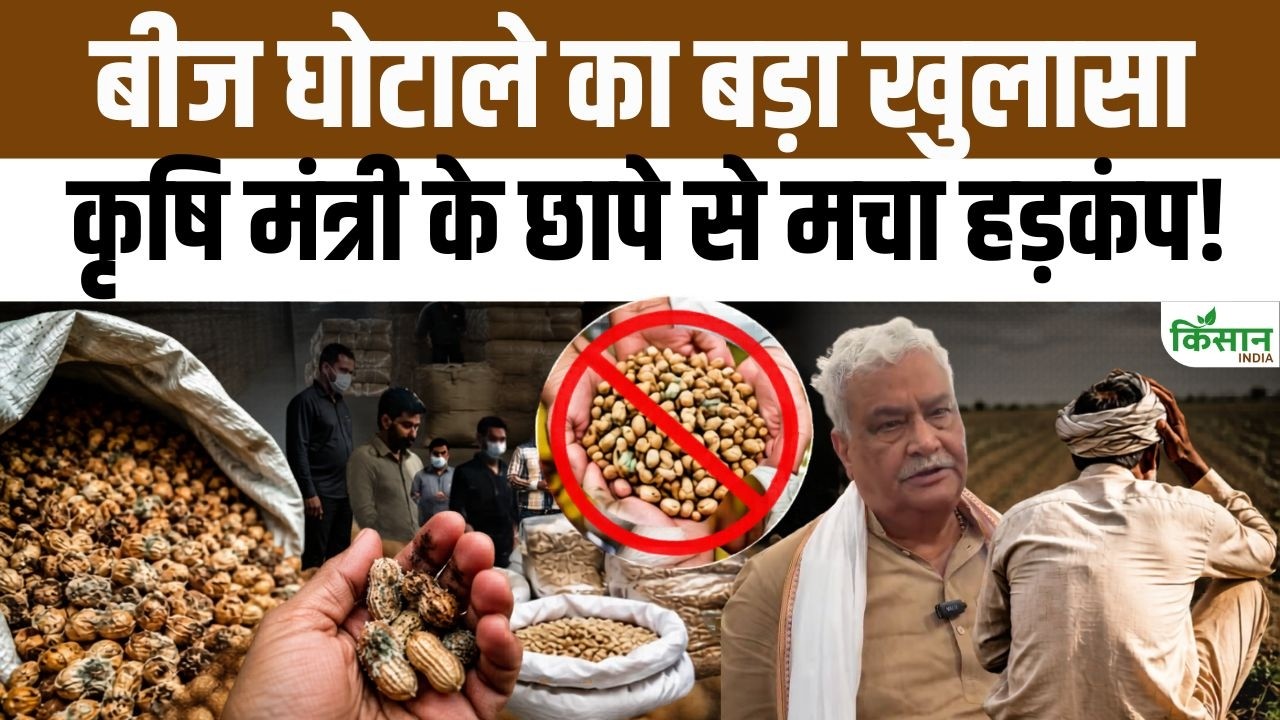 राजस्थान में नकली बीज कारोबार पर बड़ा एक्शन, कृषि मंत्री के छापों से बीज माफियाओं में मचा हड़कंप
