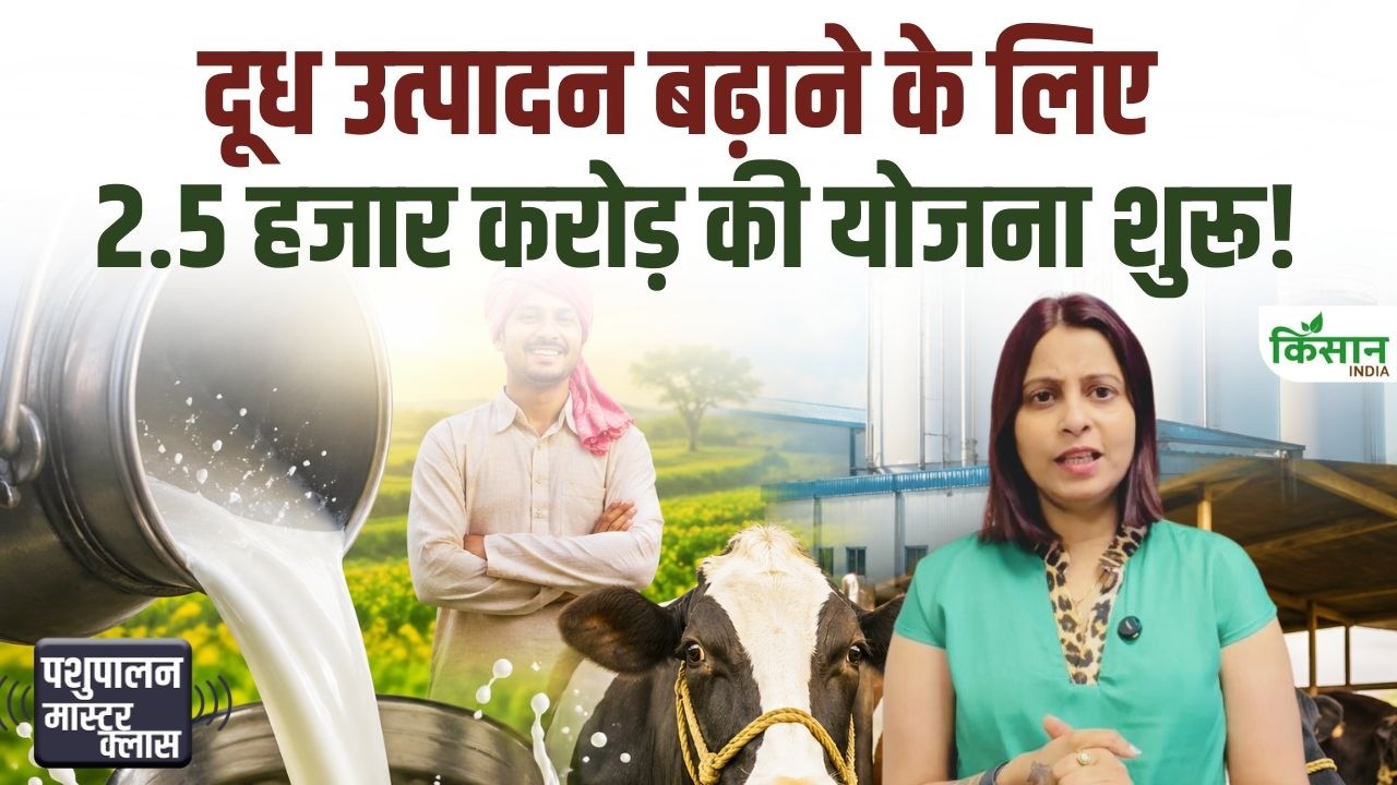 Kamdhenu Yojana: मध्य प्रदेश में 2500 करोड़ की डेयरी क्रांति, पशुपालकों की बढ़ने लगी कमाई