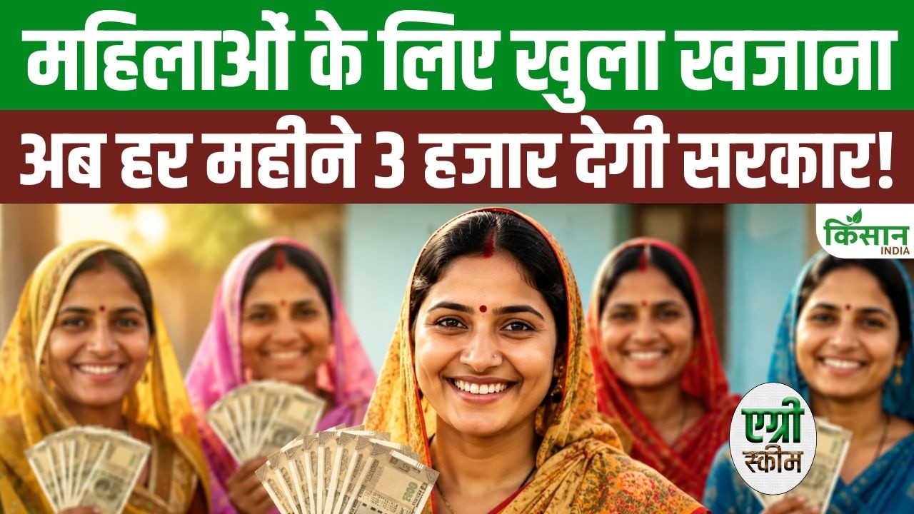 1 जून से महिलाओं को हर महीने मिलेंगे 3 हजार रुपये, अन्नपूर्णा भंडार योजना से बढ़ेगी आर्थिक ताकत