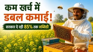कम खर्च में डबल कमाई! मधुमक्खी पालन से किसान बने लखपति, 85 फीसदी तक है सब्सिडी कम खर्च में डबल कमाई! मधुमक्खी पालन से किसान बने लखपति, 85 फीसदी तक है सब्सिडी