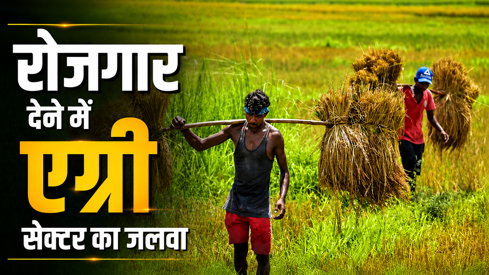 बेरोजगारी दर में गिरावट.. रोजगार देने में आगे रहा ग्रामीण सेक्टर, कृषि में काम करने वालों की संख्या 55 फीसदी