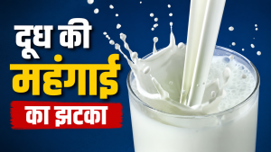 Milk Price Hike: दूध के दाम बढ़े, 5 दूध कंपनियों और समितियों ने कीमतें बढ़ाईं Milk Price Hike: दूध के दाम बढ़े, 5 दूध कंपनियों और समितियों ने कीमतें बढ़ाईं