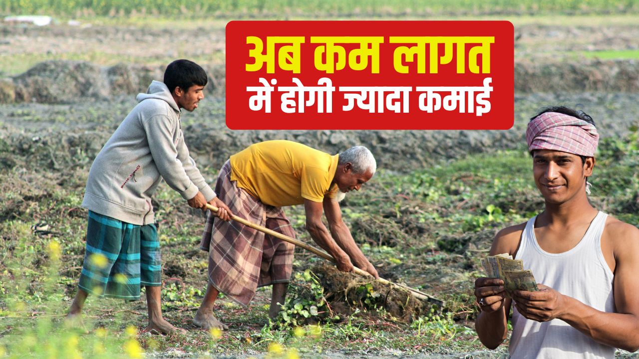 25 लाख एकड़ में फसल विविधीकरण! किसानों को प्रति एकड़ मिलेंगे 8000 रुपये.. पॉलिसी तैयार