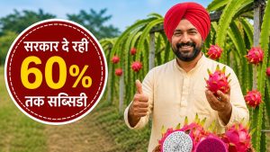 विदेशी फल ने बदली किसानों की किस्मत, बन गए लखपति.. सरकार दे रही 60 फीसदी सब्सिडी