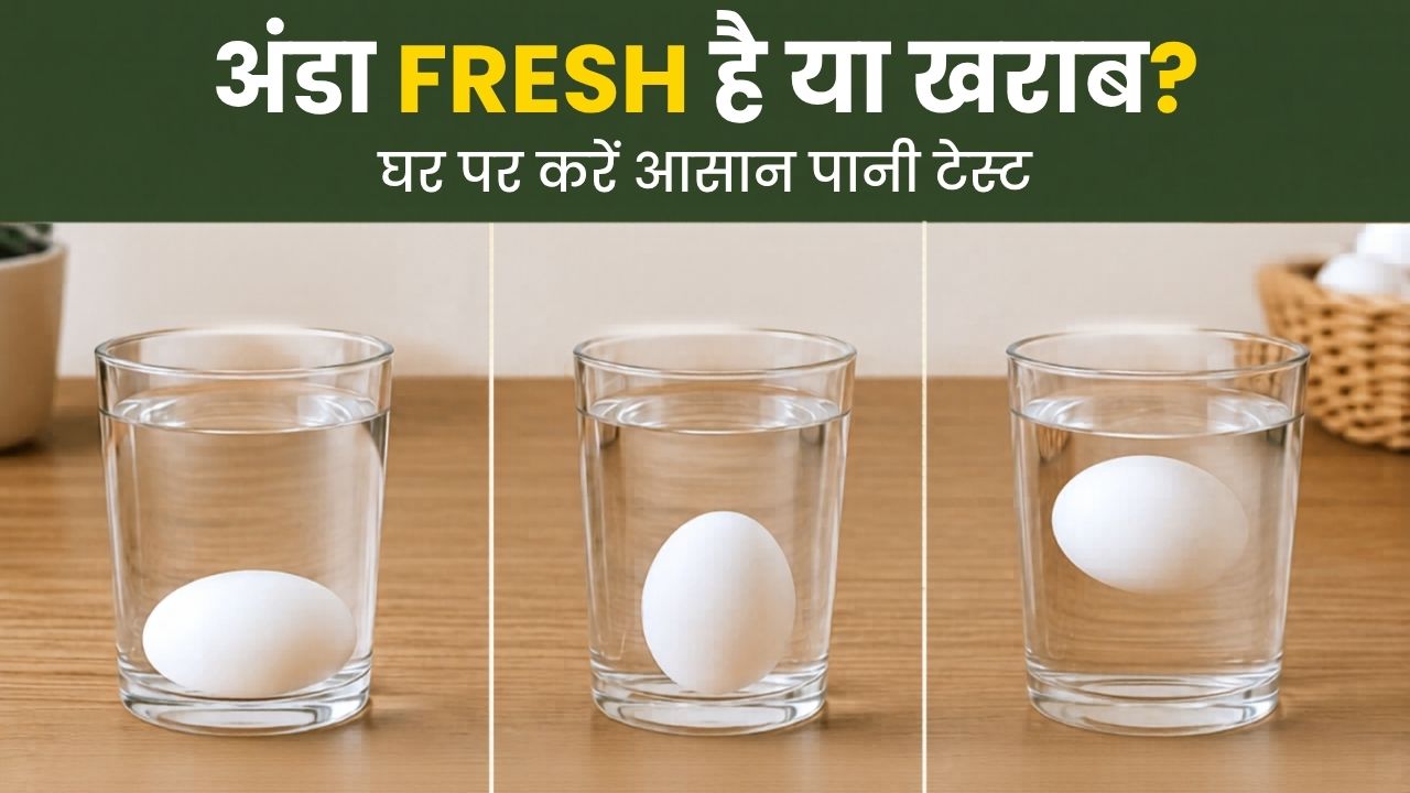 अंडा ताजा है या खराब? खाने से पहले जरूर करें ये 10 सेकेंड का ‘वॉटर टेस्ट’, FSSAI की एडवाइजरी