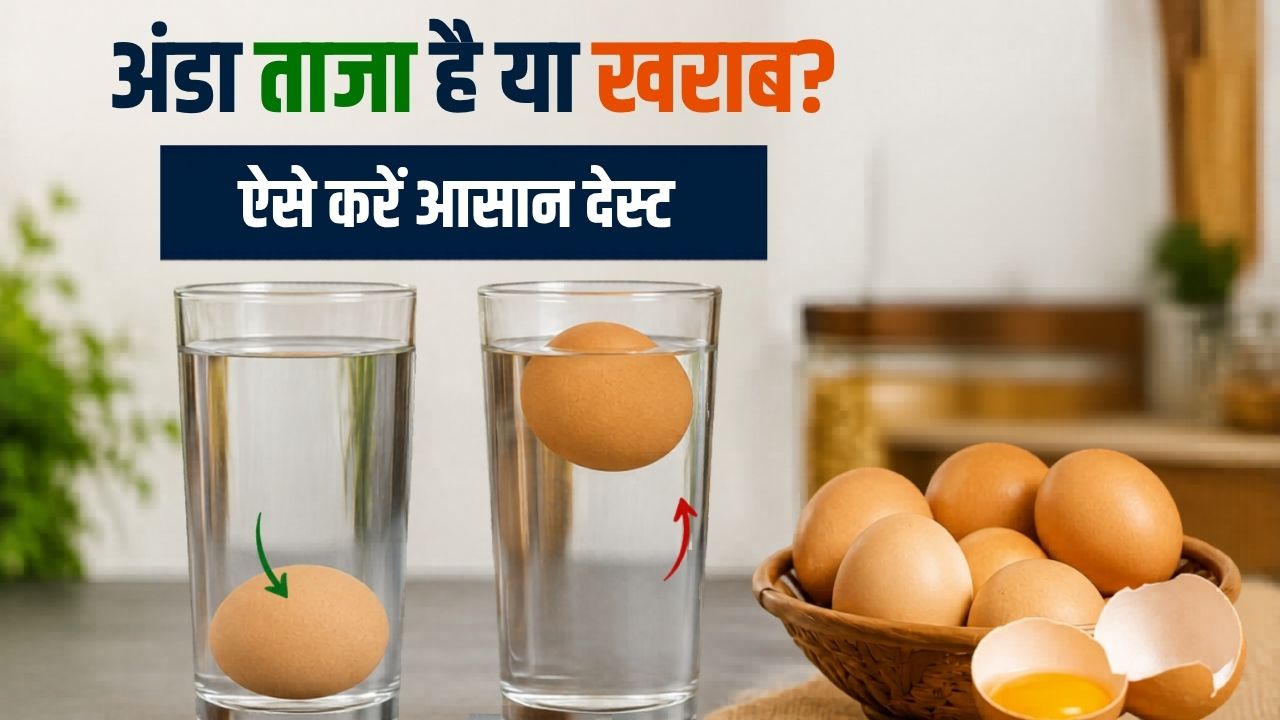 Tips and Tricks: अंडा ताजा है या खराब? सोशल मीडिया के हर फूड मिथ पर न करें भरोसा, ऐसे मिनटों में करें पहचान