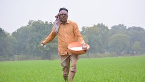 रबी सीजन में खाद की किल्लत का खतरा! वैश्विक संकट के बीच सरकार अलर्ट, किसानों को चेतावनी