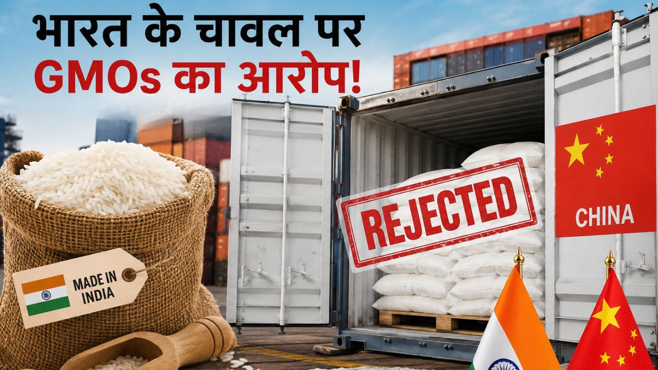 भारत-चीन में बड़ा ट्रेड विवाद! GMOs के आरोप से हिला चावल एक्सपोर्ट, 70 खेप रिजेक्ट