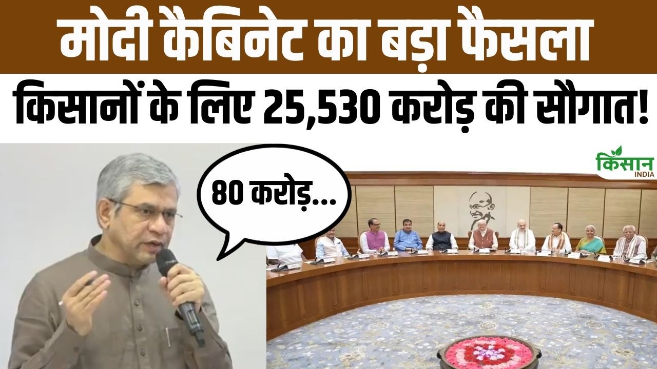 मोदी कैबिनेट ने 25,530 करोड़ की बड़ी योजना को दी मंजूरी, 80 करोड़ लोगों को मिलेगा सीधा फायदा