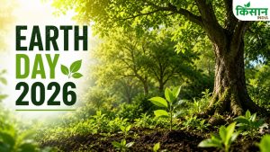 धरती बचाने के लिए पौधे बनेंगे ढाल, 45 करोड़ फल-फूल वाले प्लांट क्लाइमेट चेंज से करेंगे लड़ाई धरती बचाने के लिए पौधे बनेंगे ढाल, 45 करोड़ फल-फूल वाले प्लांट क्लाइमेट चेंज से करेंगे लड़ाई