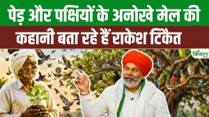 पेड़ और पक्षियों का अनोखा रिश्ता, फसलों की सुरक्षा में निभाते हैं भूमिका पेड़ और पक्षियों का अनोखा रिश्ता, फसलों की सुरक्षा में निभाते हैं भूमिका