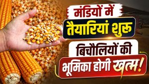 किसानों को बड़ी राहत, इस दिन से MSP पर शुरू होगी मक्का की खरीद किसानों को बड़ी राहत, इस दिन से MSP पर शुरू होगी मक्का की खरीद
