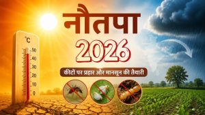 नौतपा की आग उगलती गर्मी क्यों है धरती के लिए जरूरी? खेत से कीटों का करती है सफाया, मॉनसून से भी है संबंध नौतपा की आग उगलती गर्मी क्यों है धरती के लिए जरूरी? खेत से कीटों का करती है सफाया, मॉनसून से भी है संबंध