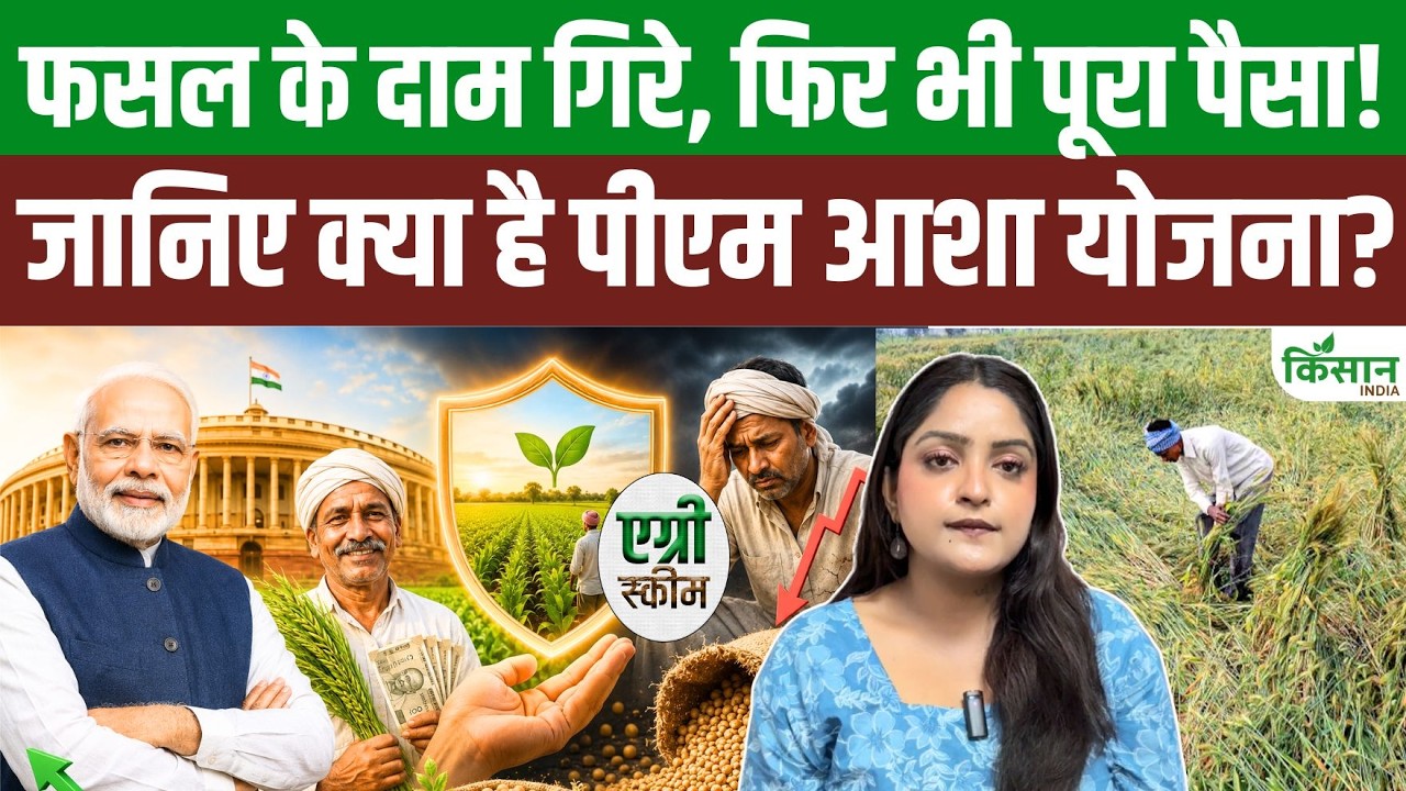 बाजार में गिरे फसल के दाम तो भी नहीं होगा नुकसान, PM Asha Yojna देगी MSP का पूरा पैसा