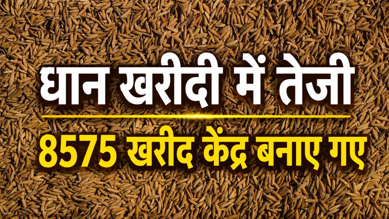 तेलंगाना में 40 लाख टन धान की खरीदी, किसानों के खातों में पहुंचे 6462 करोड़ रुपये